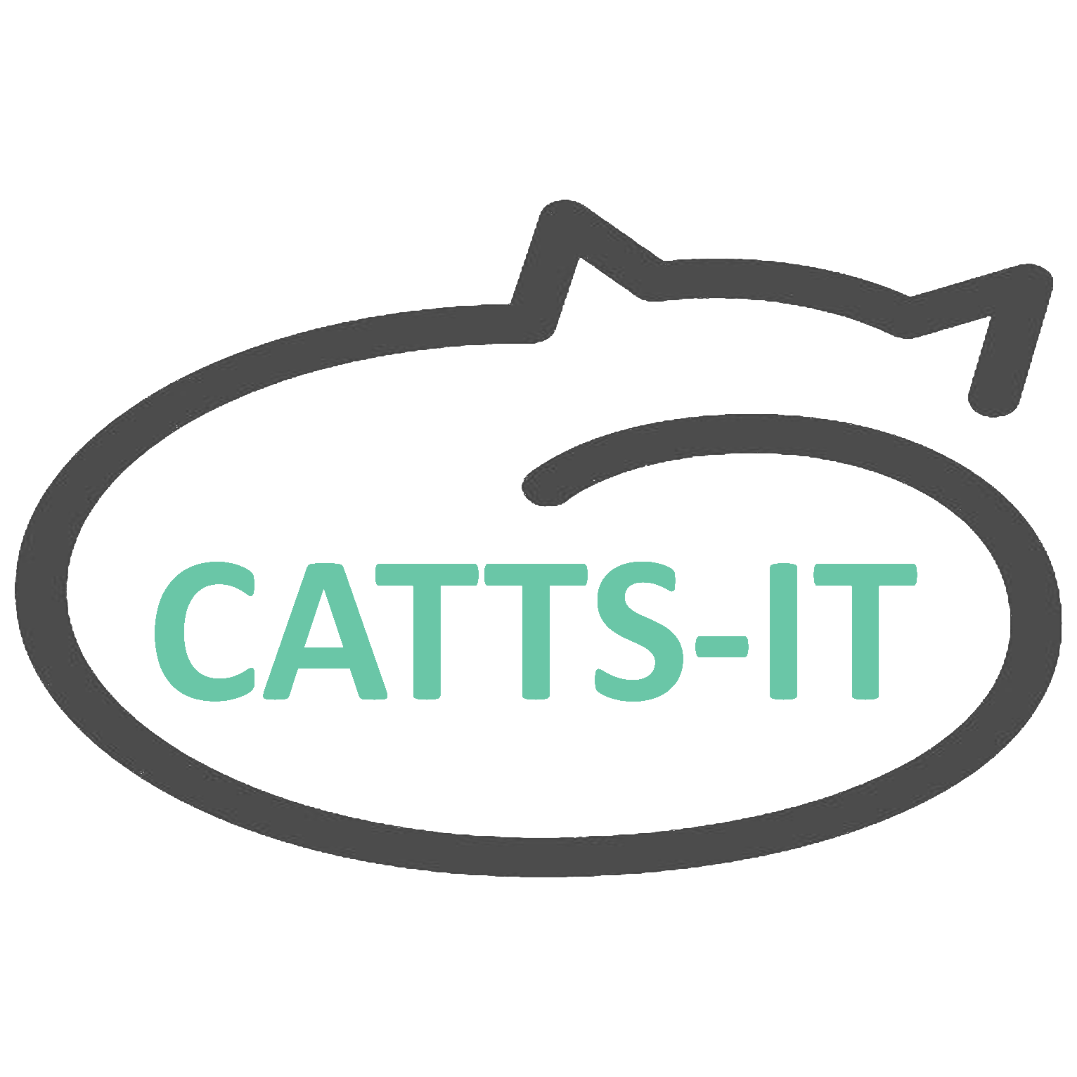 CATTS – Information Technology